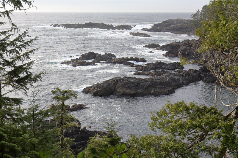 Illustration for article titled Trip Recap: 2017-12-09 on the Pacific Rim Highway to the Wild Pacific Trail
